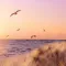 Peaceful Wallpapers