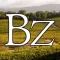 Benziger Virtual Reality Tour