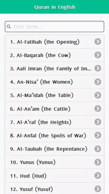 Holy Quran in English & Arabic Screenshots