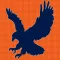 Auburn Football News