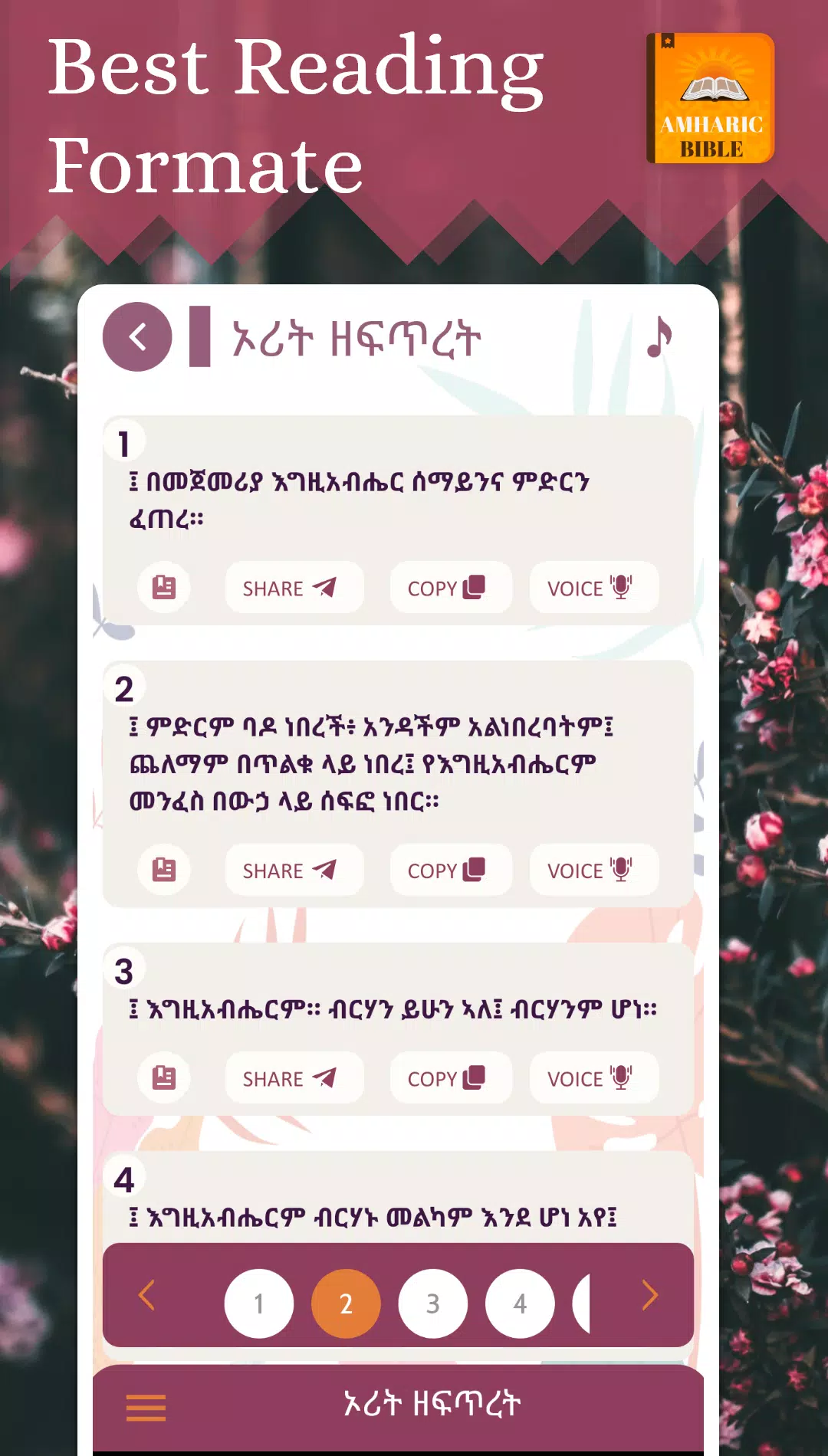 Amharic Bible Screenshots
