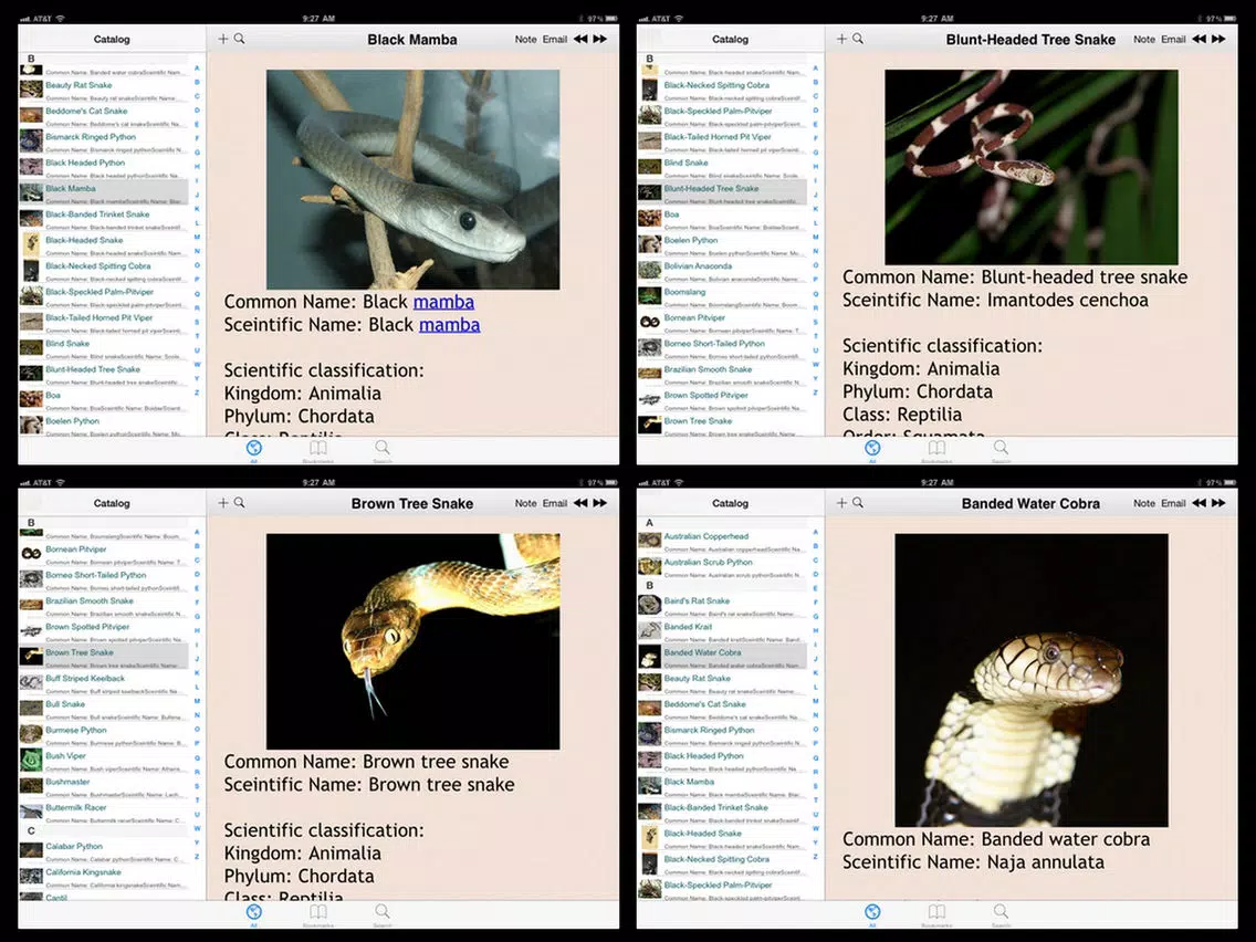 Snakes Encyclopedia Plus+ iPad Screenshots