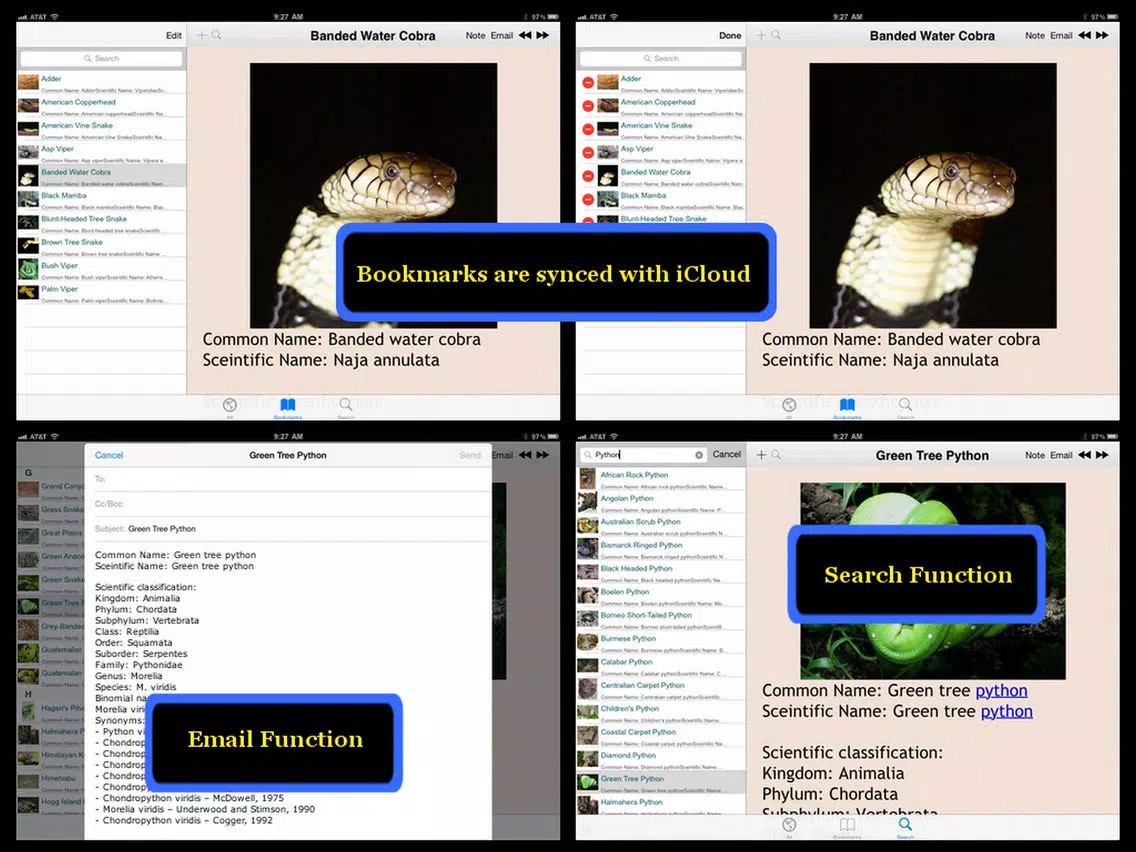 Snakes Encyclopedia Plus+ iPad Screenshots