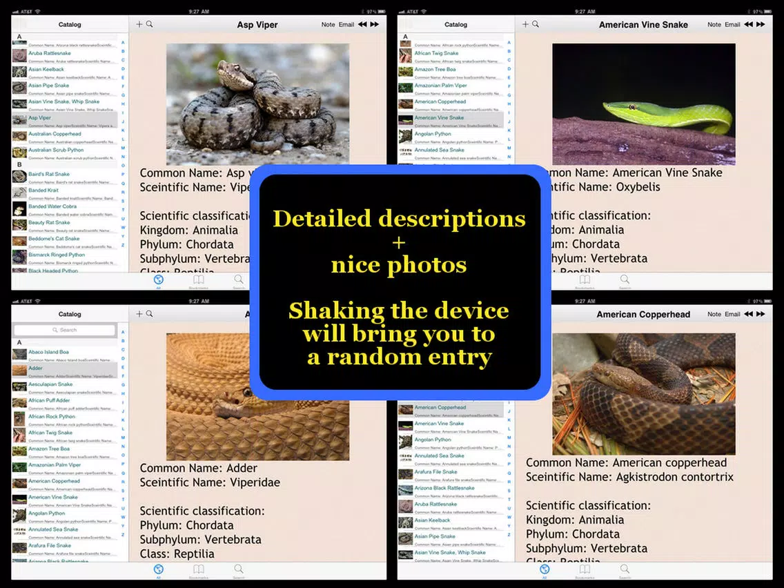Snakes Encyclopedia Plus+ iPad Screenshots