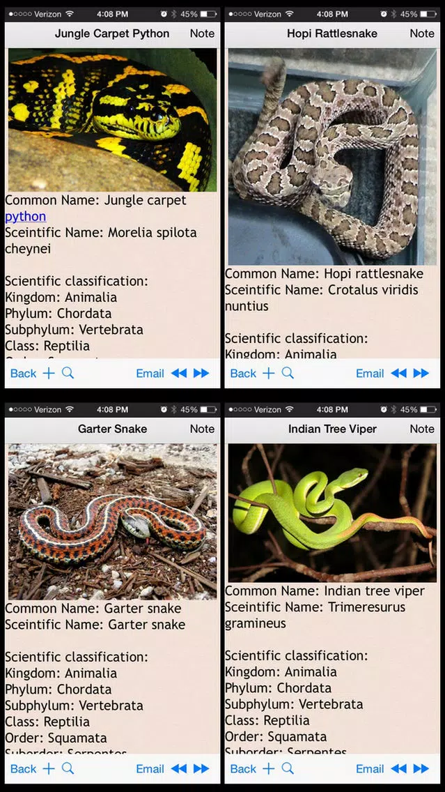 Snakes Encyclopedia Plus+ Screenshots