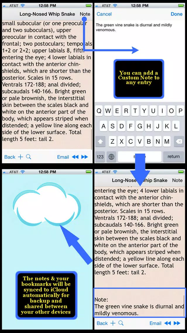 Snakes Encyclopedia Plus+ Screenshots