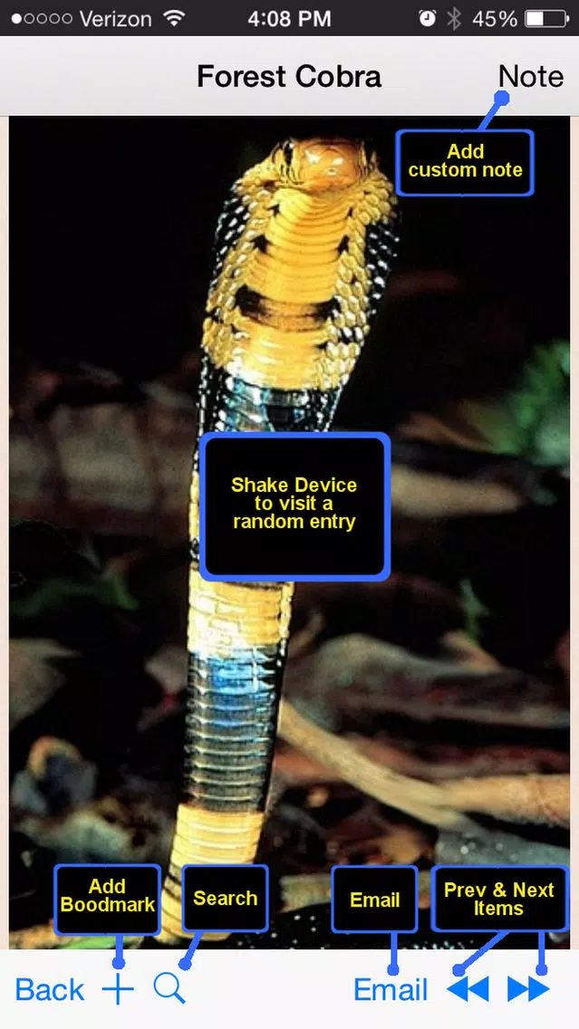 Snakes Encyclopedia Plus+ Screenshots