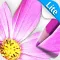 Sketch Agent Lite