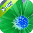 XRay Camera Agent