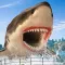 Shark Hunting Games: Sniper 3D