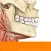 Sobotta Anatomy Atlas