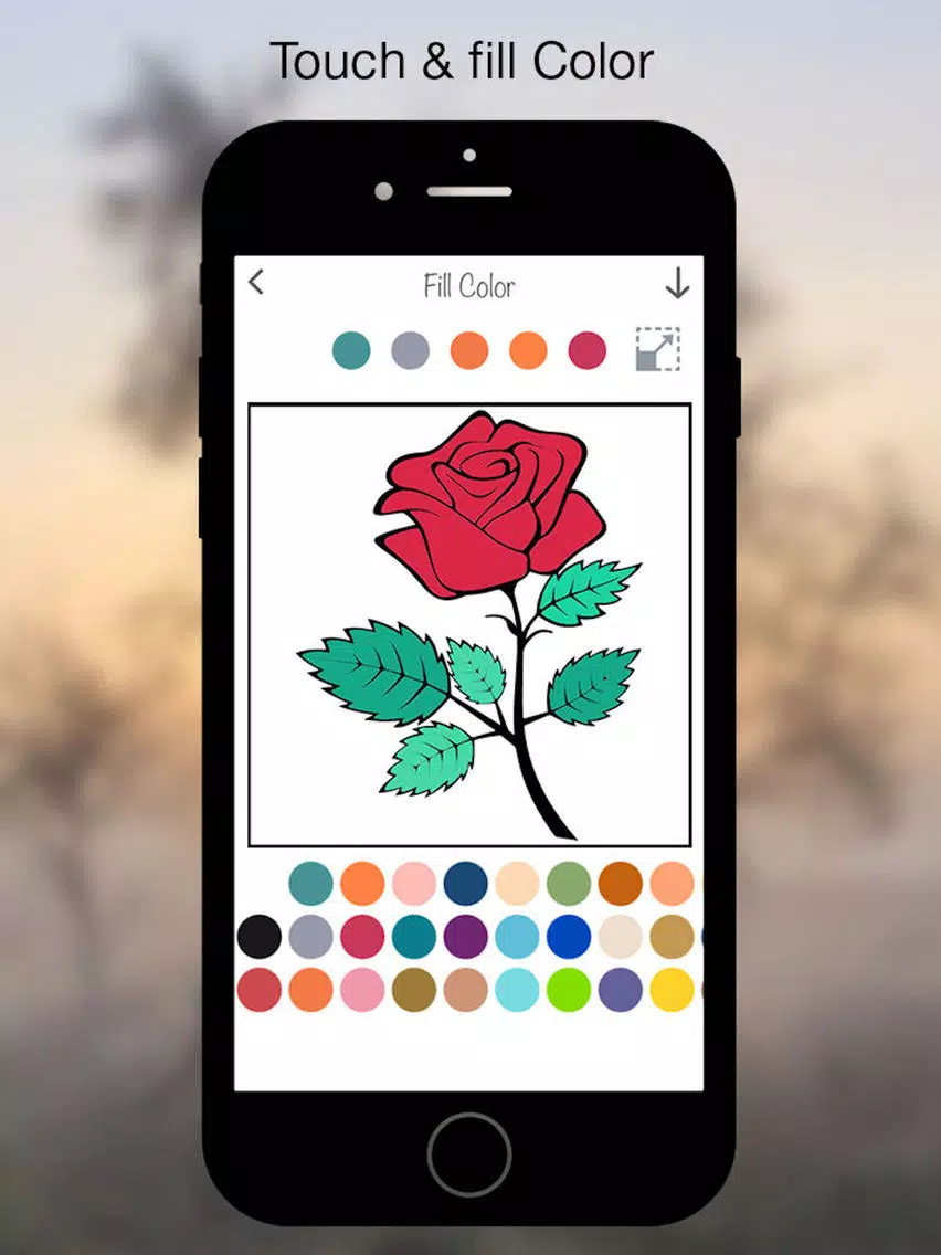 Coloring Book - Flower iPad Screenshots