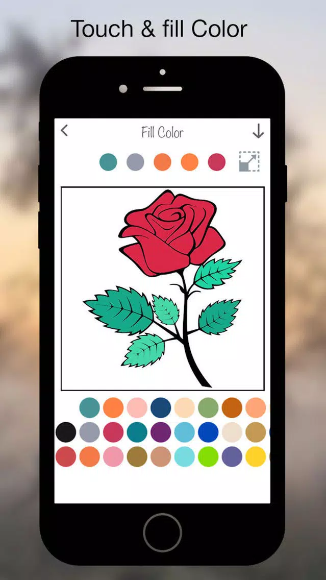Coloring Book - Flower Screenshots