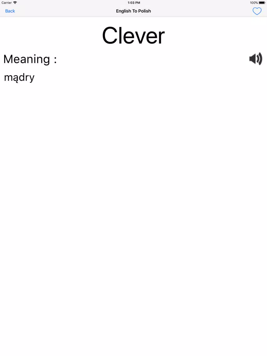 English To Polish Dictionary iPad Screenshots