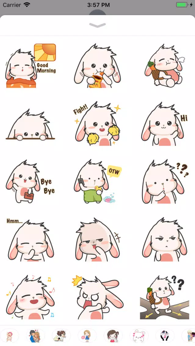 Chubby Rabbit应用截图