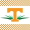 UT Field Day