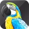 VINA Talking Parrot