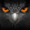 EagleEyes-plus