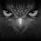 EagleEyes-lite