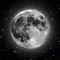 Moon Day