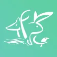FRC HDF