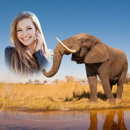 Wildlife Photo Frames - Easiest way to see wild life everyday. Wildlife Photo Frames - Easiest way to see wild life everyday.
