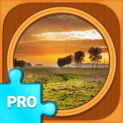 Awesome Jigsaw Puzzles PRO: Crazy Brain Jigsaws