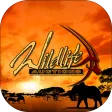Wildlife Auctions Wildlife Auctions