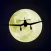 Air Offense Command