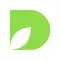 DashView