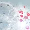 Oracle Digital Transformation