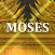 Moses the Freedom Fighter