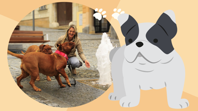 Dog Photo Frame Screenshots