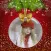 Winter Merry Xmas Photo Frames