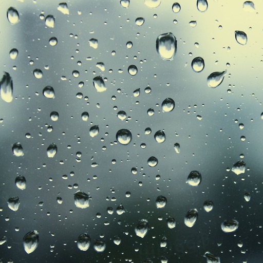 Rainy - Rainy Day , Rainy Mood Rainy - Rainy Day , Rainy Mood