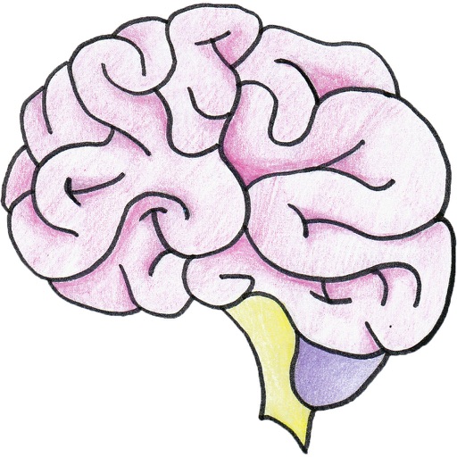 Brain Focus Brain Focus