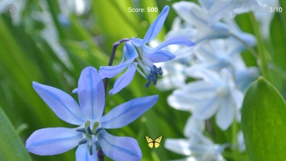 Brain Focus Screenshots