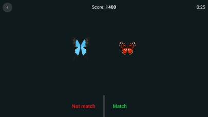 Brain Focus Screenshots