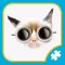 Big Cats Jigsaw Puzzle Games Everyday for Adults
