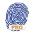 Rapporti 4.0 PRO