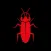 Cockroach FM - Audios & Videos