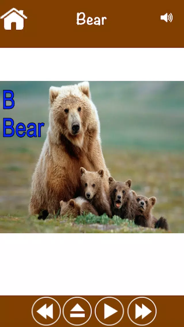 Baby ABC ZOO Splash Animals - Toddler's Preschool Educational Puzzles Games For Kids Screenshots