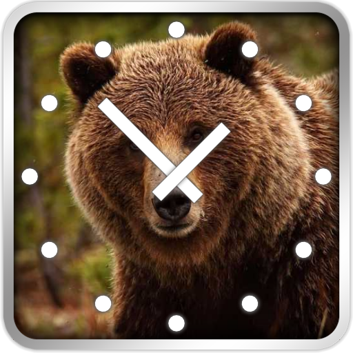 Bears Clock Widget Bears Clock Widget