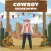 Mr Bullet: Cowboy Showdown