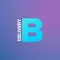Badi Pro Plus
