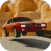 Skid Rally