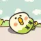 Parakeet Bebe
