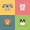 Dog Quiz - Guess the Breed Trivia