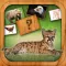 Animals Match Card Game