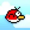 Bolo Bird